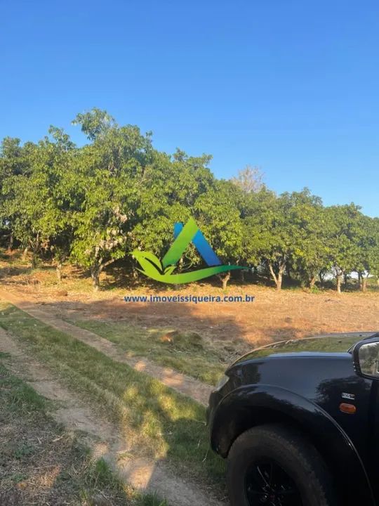 ÚLTIMAS CHÁCARAS DISPONÍVEIS ÀS MARGENS DO RIO TIBAGI PARCELADO - Foto 8