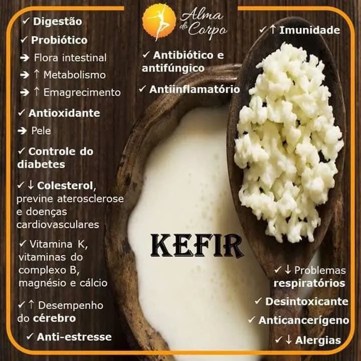 Doa-se Kefir de água, de leite, iogurtes infinitos e kombuchá