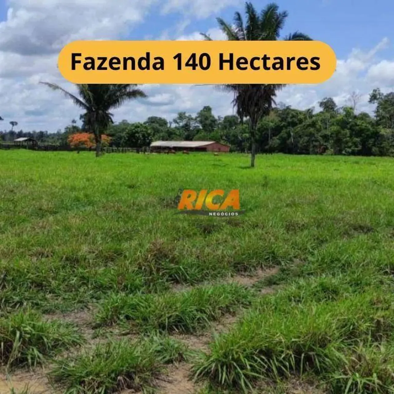 Fazenda a venda, com 140 hectares na Zona Rural - Nova Mamoré/RO