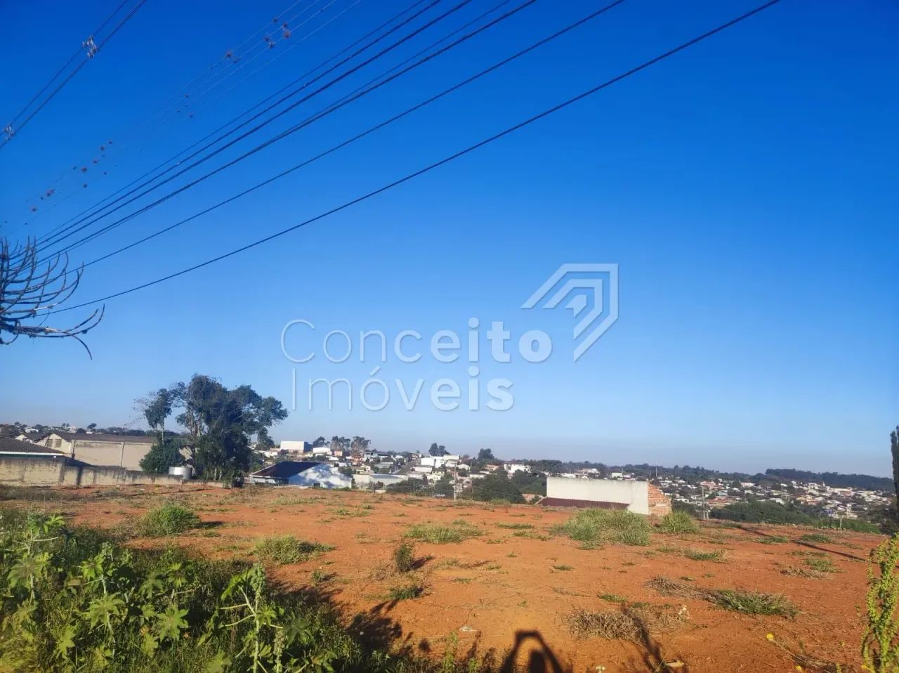 Terreno - Jardim das Cerejeiras - Colônia Dona Luiza - Foto 8