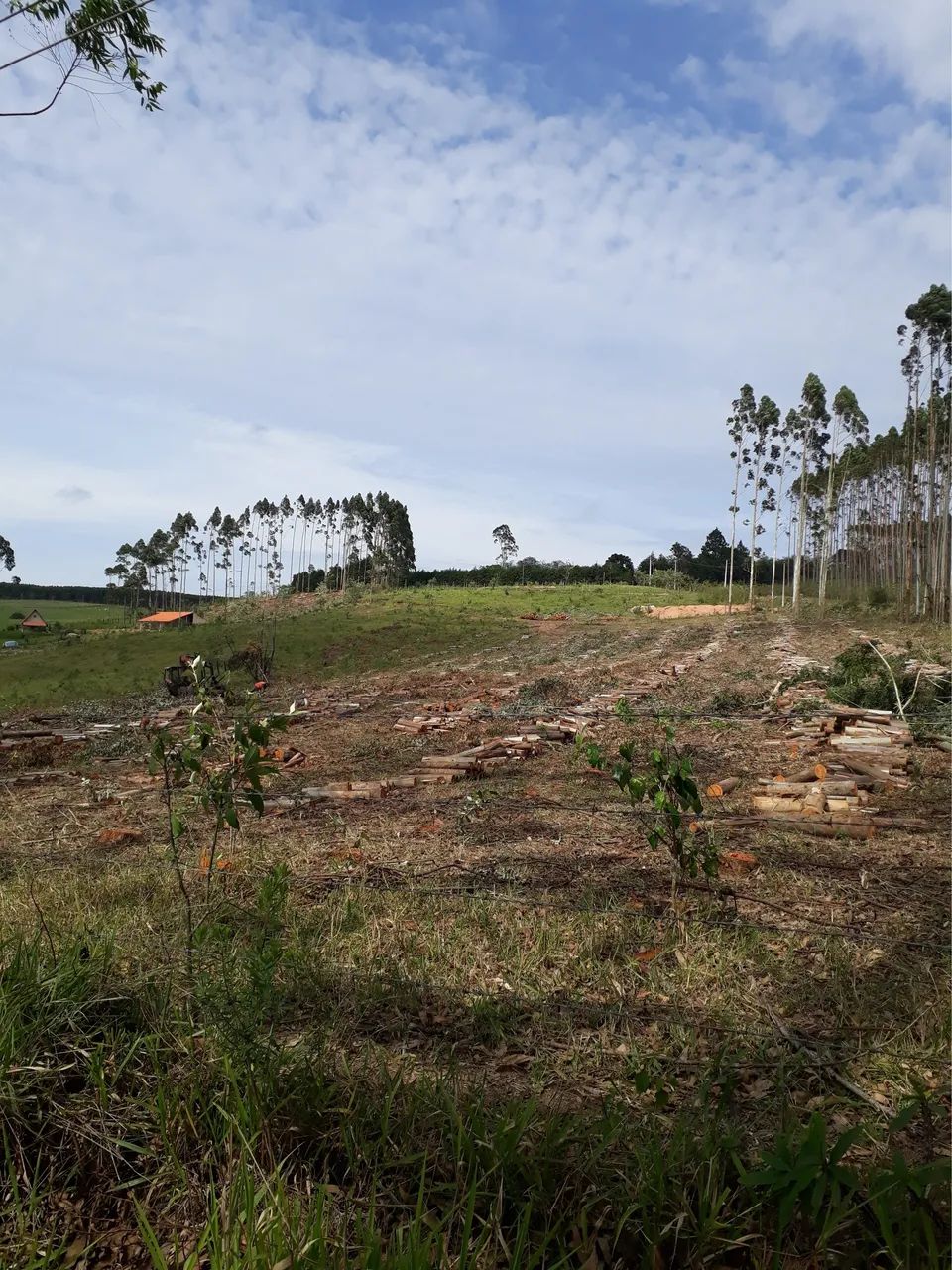 Foto - Votorantim - Residencial Giardino Di Veneto