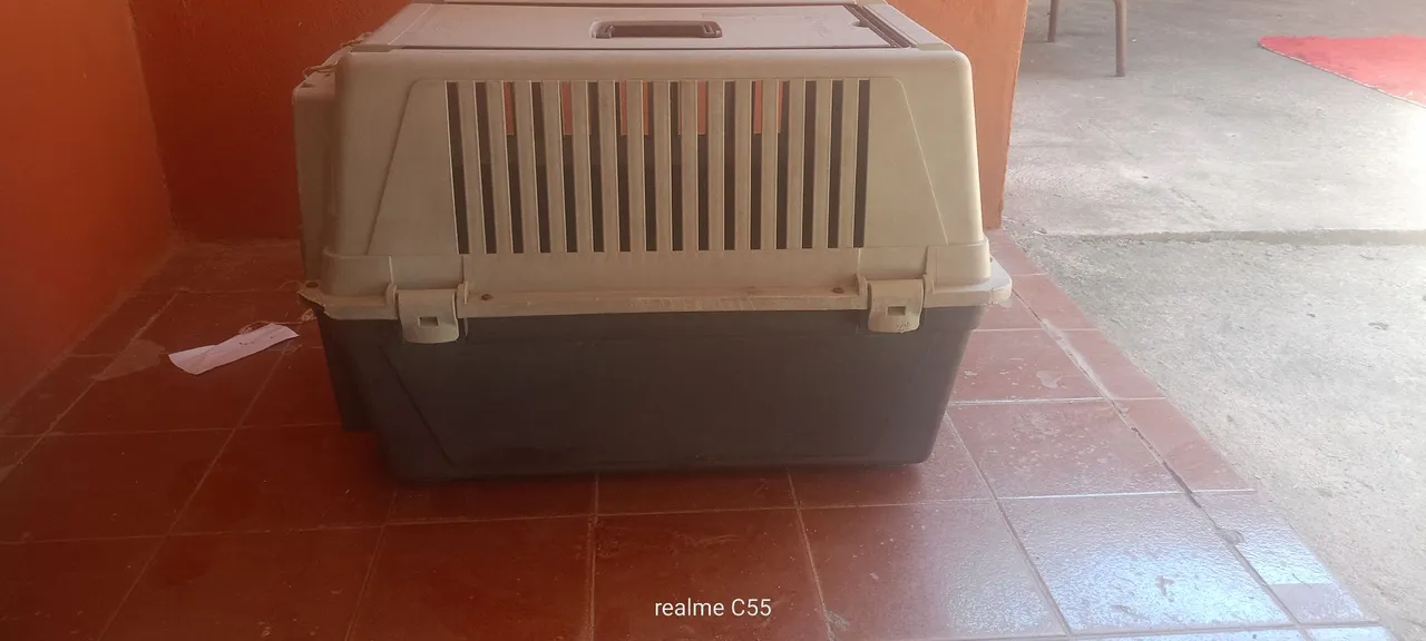 Caixa de Transporte para Animais - Perfeita para Viagens