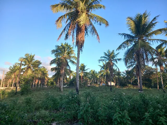 Vendo terreno 2.000 metros² em Macaíba-RN - 35 mil reais