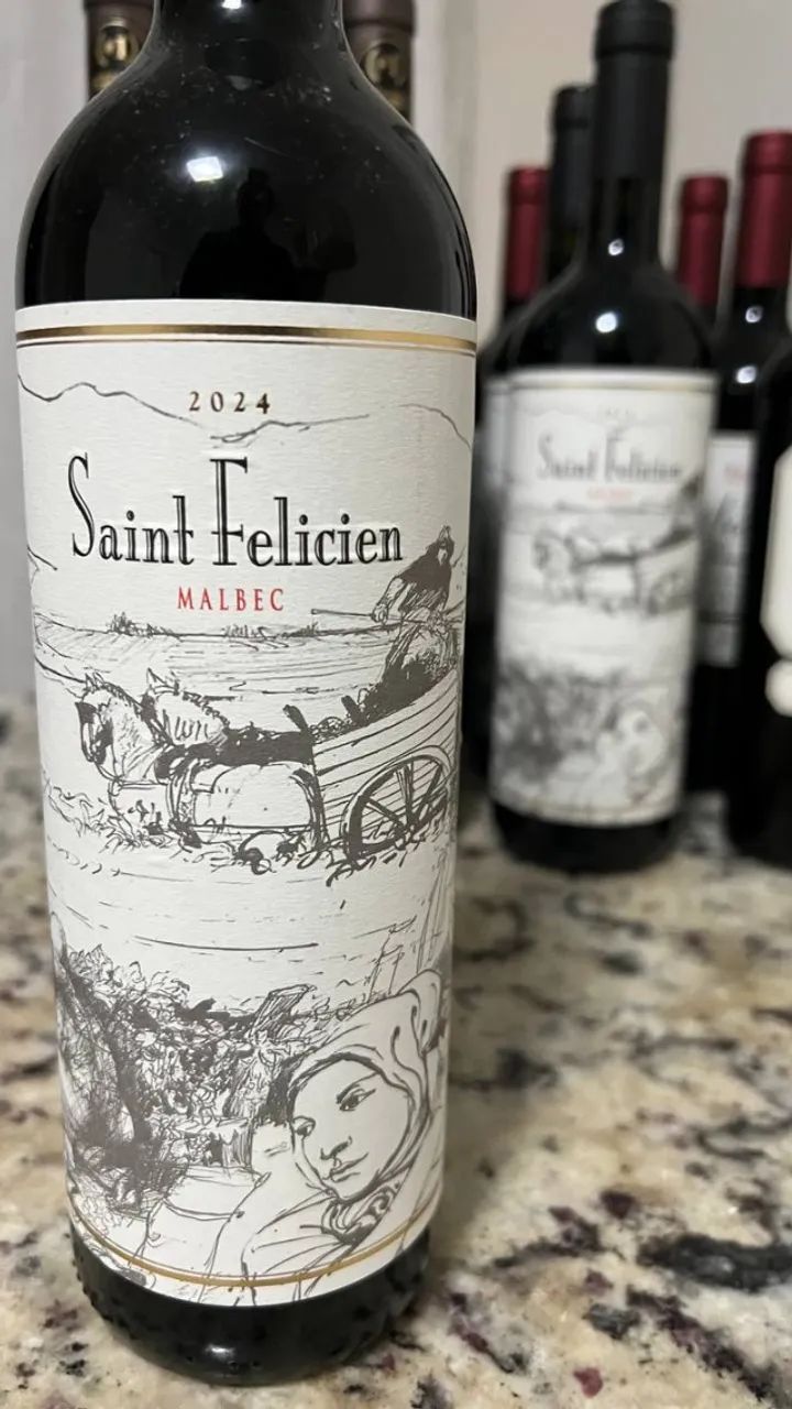 Vinhos Argentinos preço bom - Foto 4