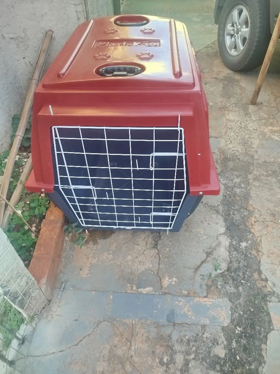Caixa de Transporte Plast Kão