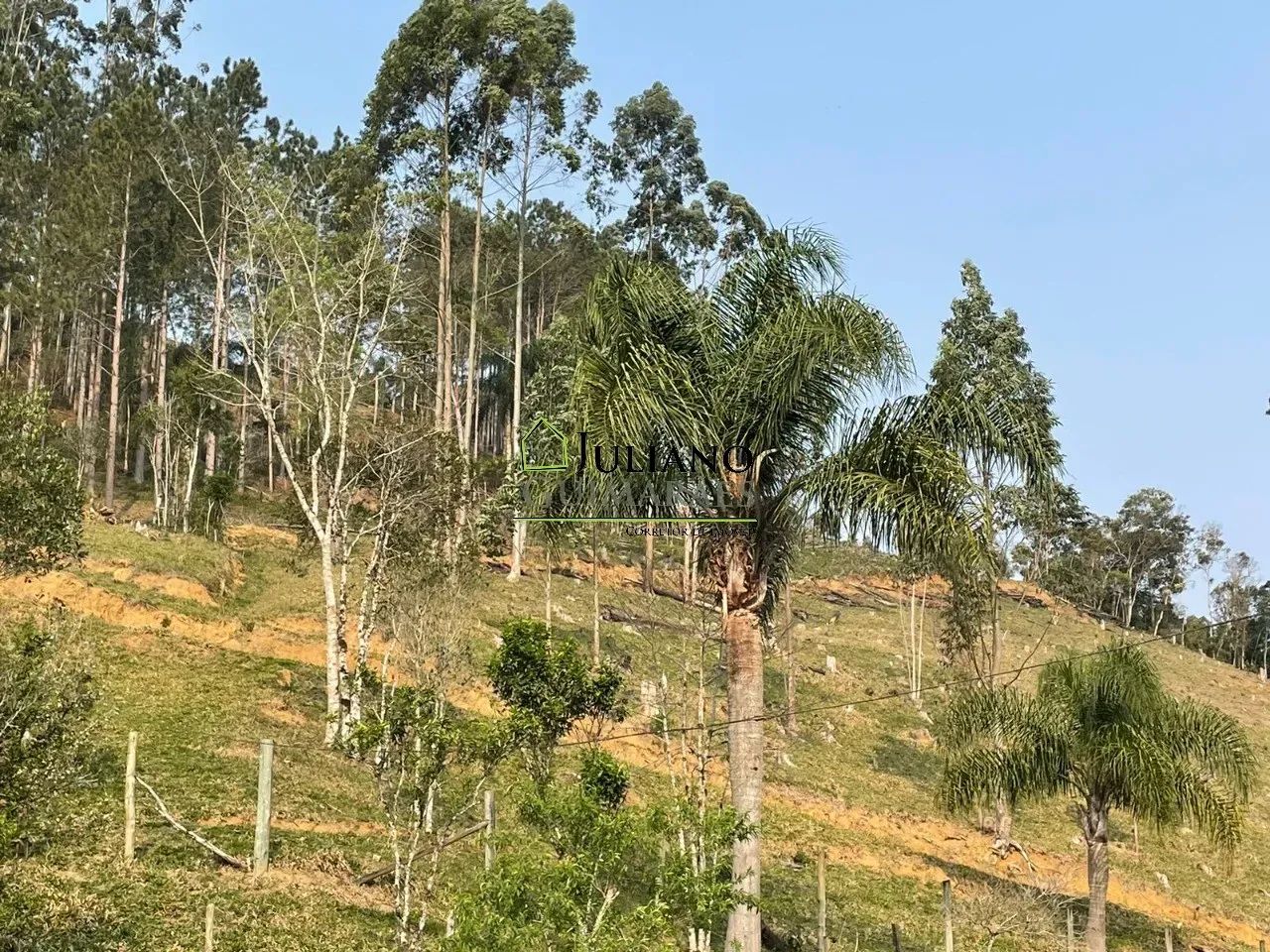 TERRENO com 5 hectares Á VENDA, com EXCELENTE LOCALIZAÇÃO, ANGELINA - SC - Foto 3
