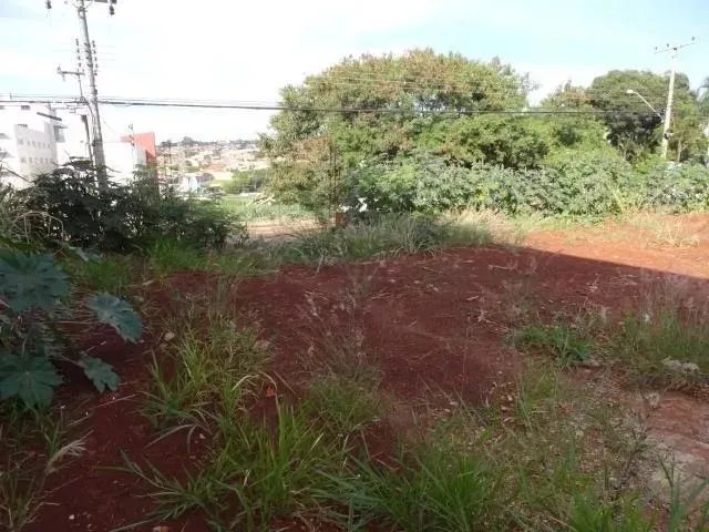 Terreno em Ribeirania - Ribeirão Preto - Foto 5