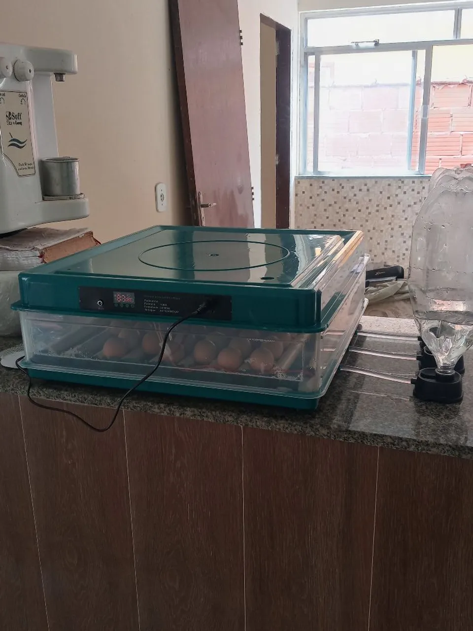 Incubadora Automática de Ovos - Chocadeira