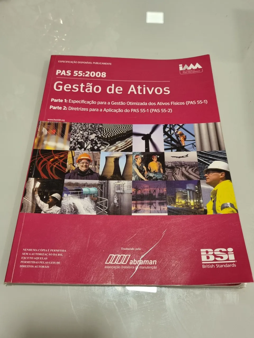 PAS 55:2008 Gestão de Ativos - Livro em Português
