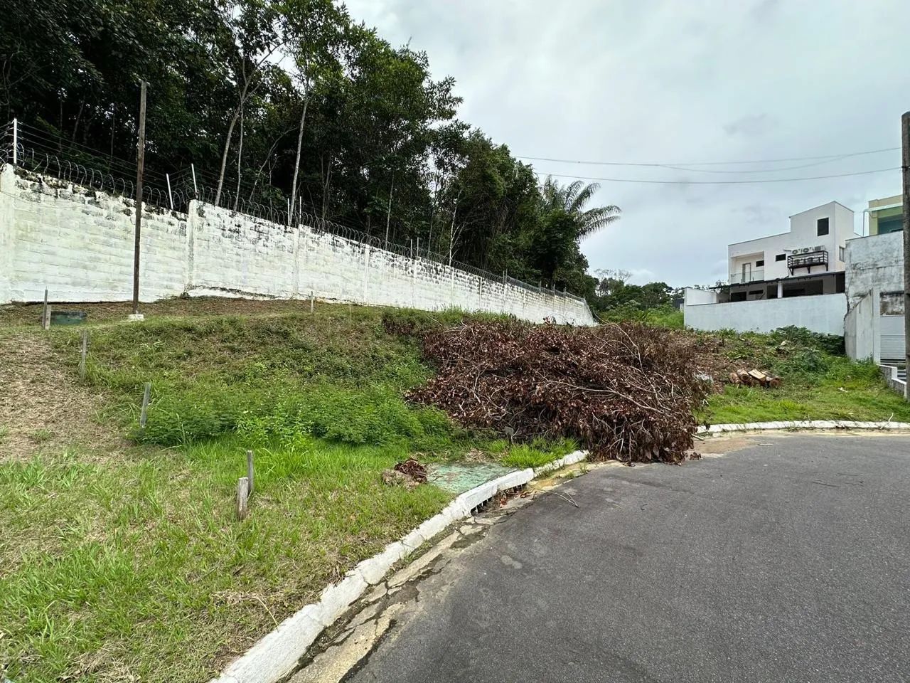 foto - Manaus - Ponta Negra