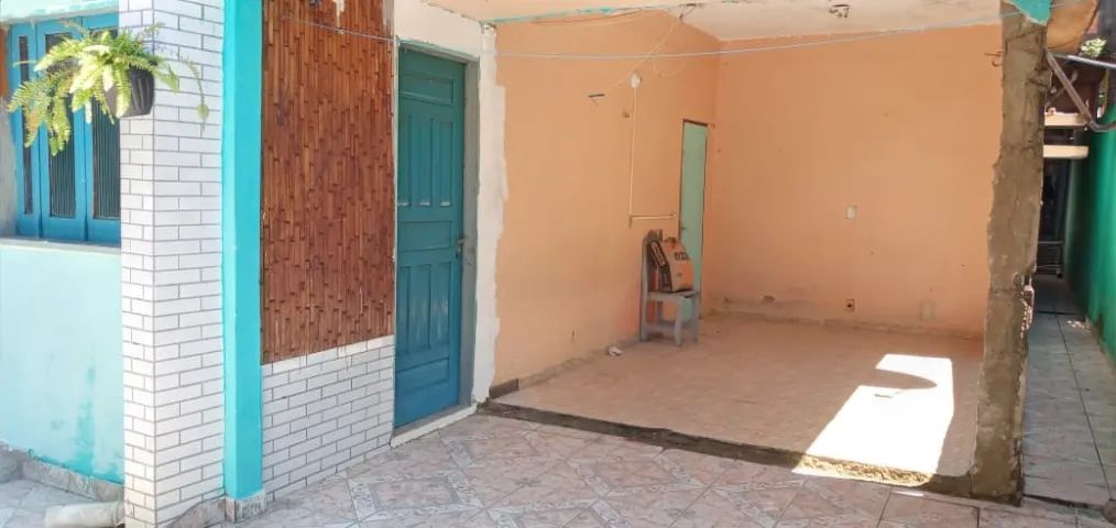 Foto - Manaus - Raiz