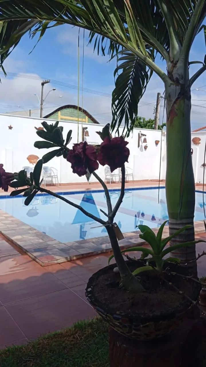 ESPAÇO Casa D' Praia I ALUGAMOS p/ fds de sexta-feira a domingo. - Foto 8