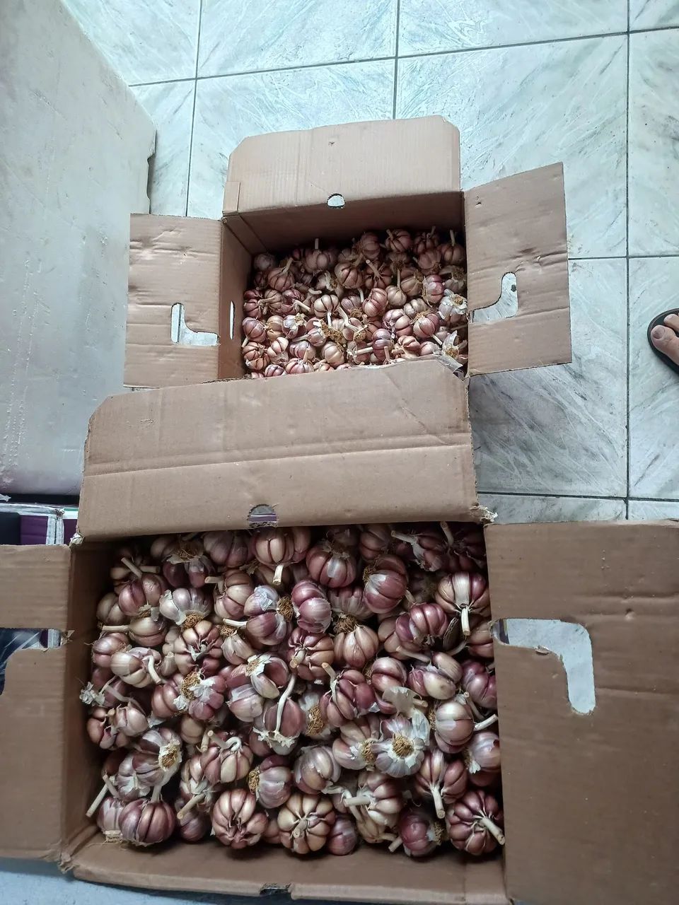 Vendo Alho 