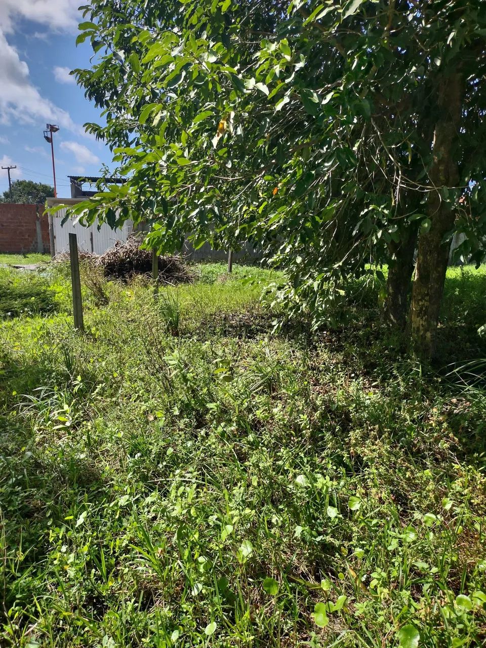 Terreno em igarassu 10 x 20  - Foto 2