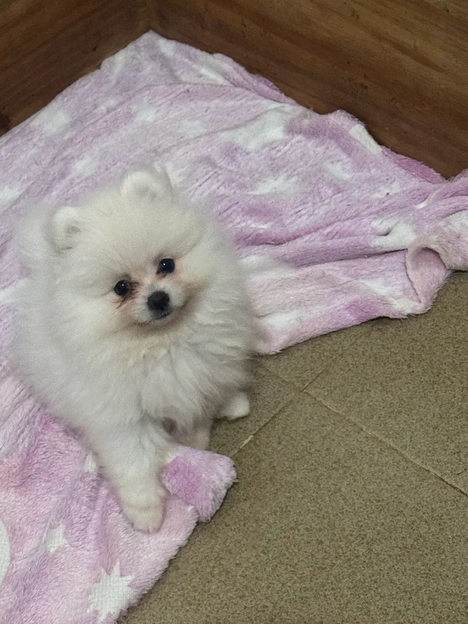 Vendo  - Foto 4