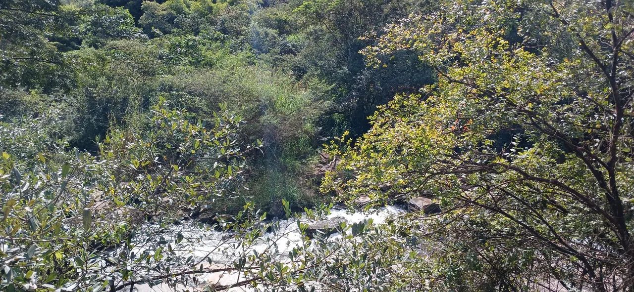 Terreno 9mil metros Itabirito - Foto 4