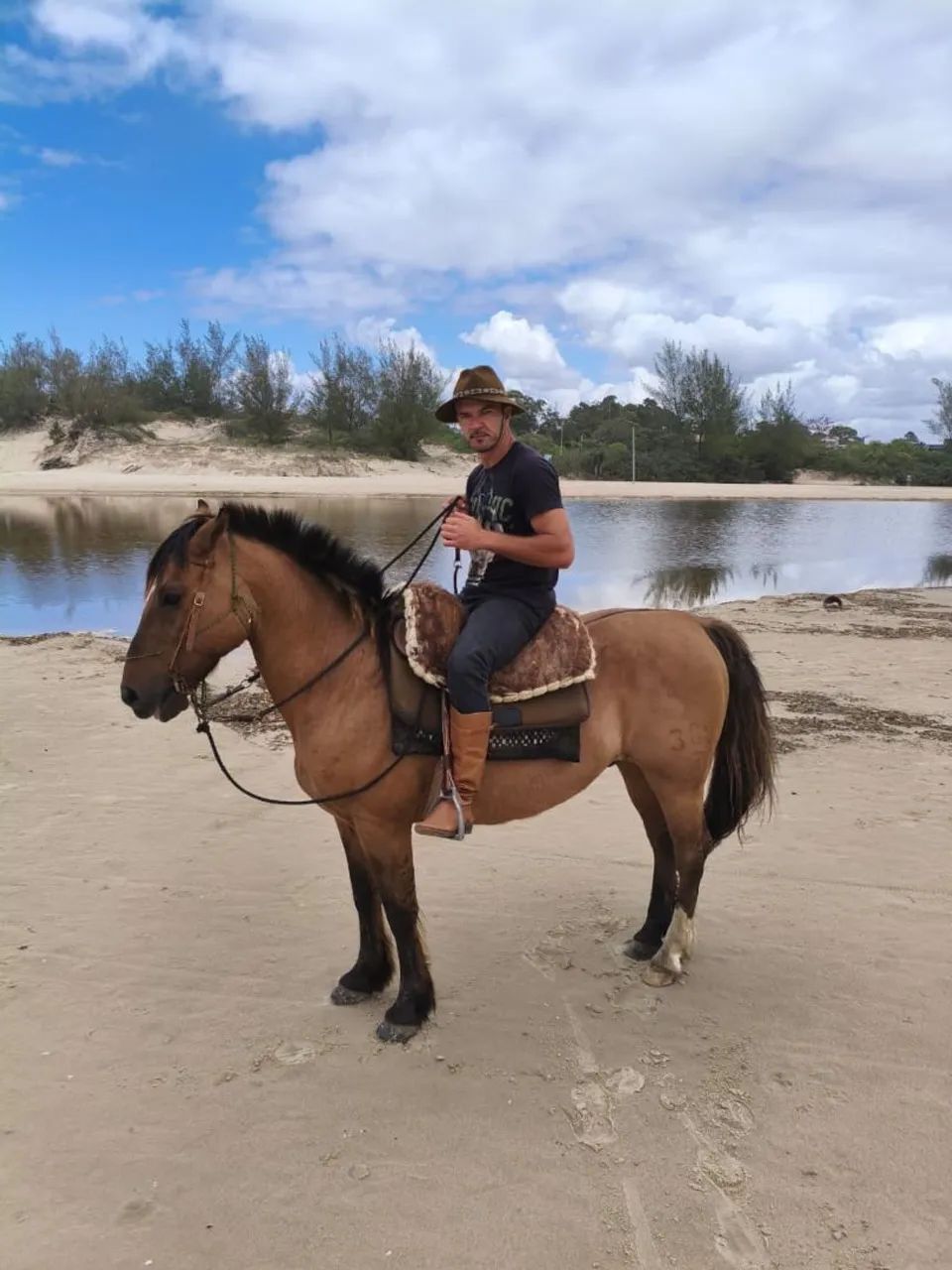 Cavalo - Foto 3