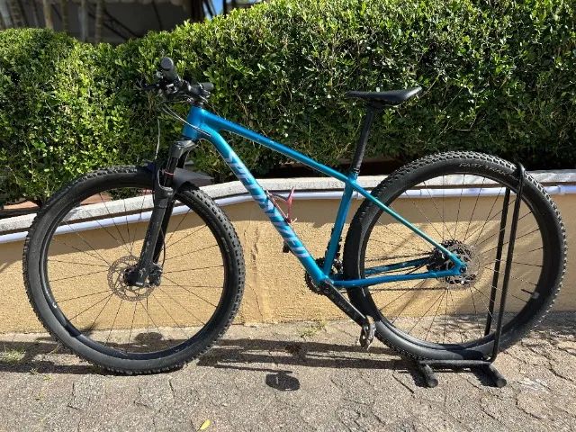 Specialized Chisel BARBADA