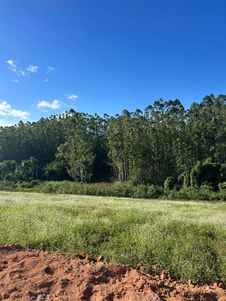 NÃO PASSE DIRETO: 500m² + R$ 65 MIL! - Foto 5