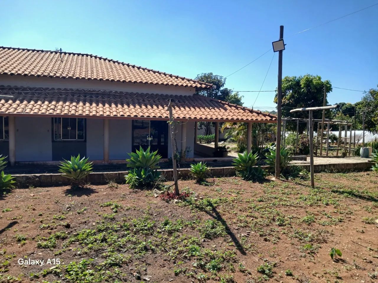 Sítio 2.400 m² com piscina e pomar em Bom Despacho MG - Foto 2