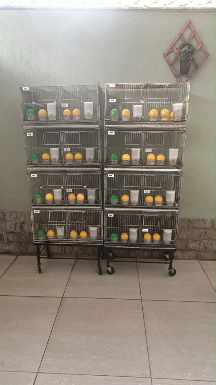 Vendo 2 conjuntos de gaiolas para canários entre outros pássaros - Foto 3
