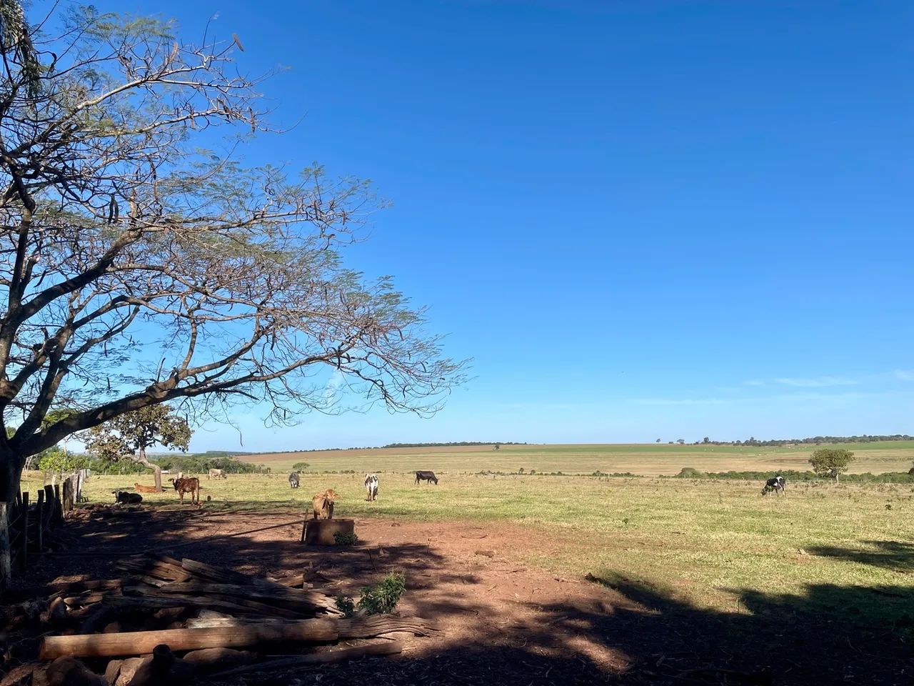 Chácara próxima a CG - Foto 2
