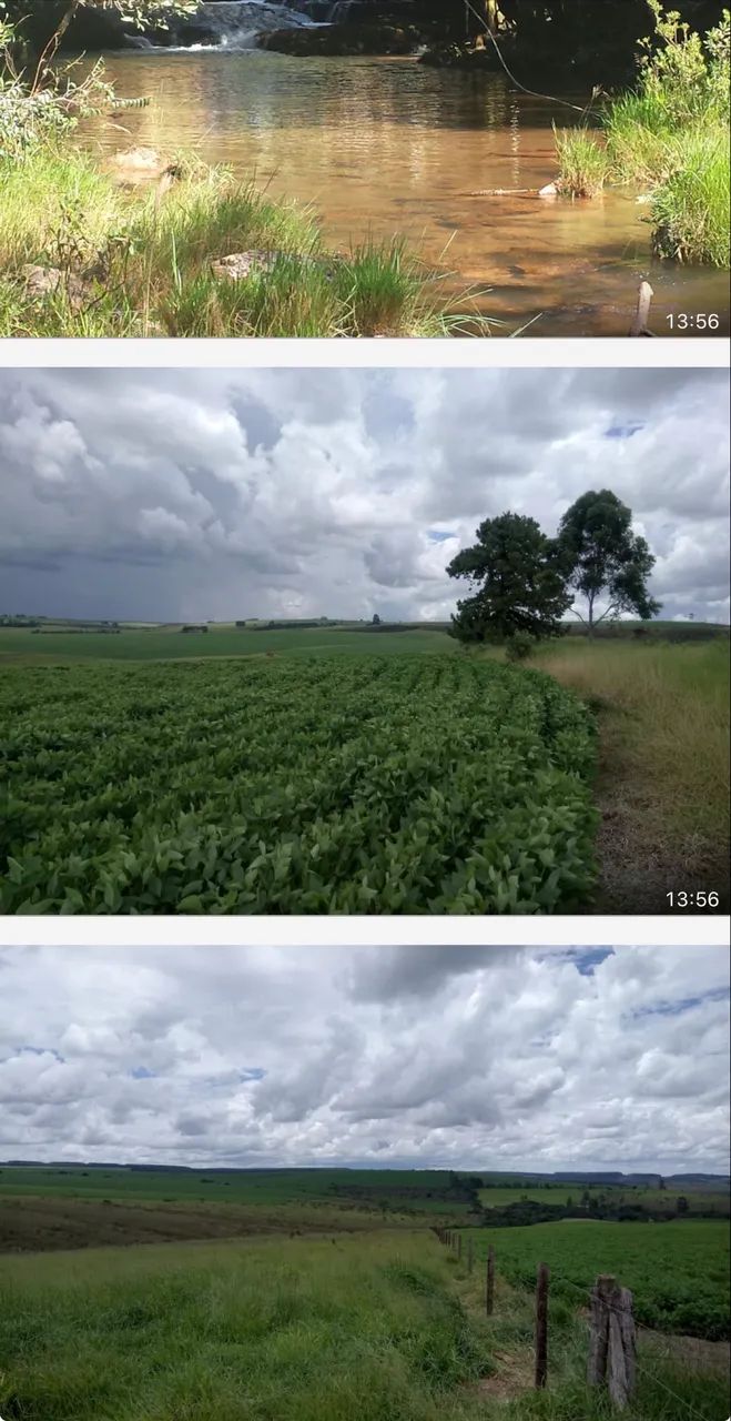 Fazenda em Sacramento altitude pra café ?  - Foto 4