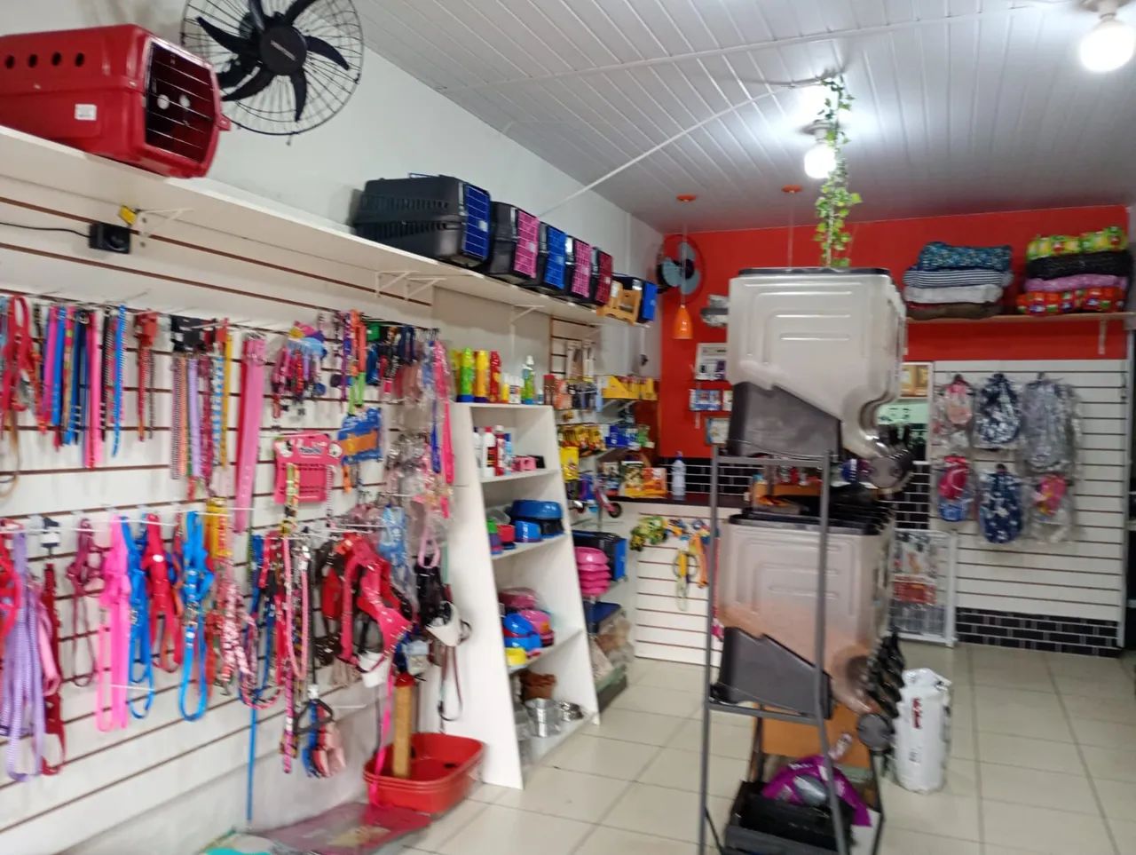 Vendo pet shop  - Foto 2
