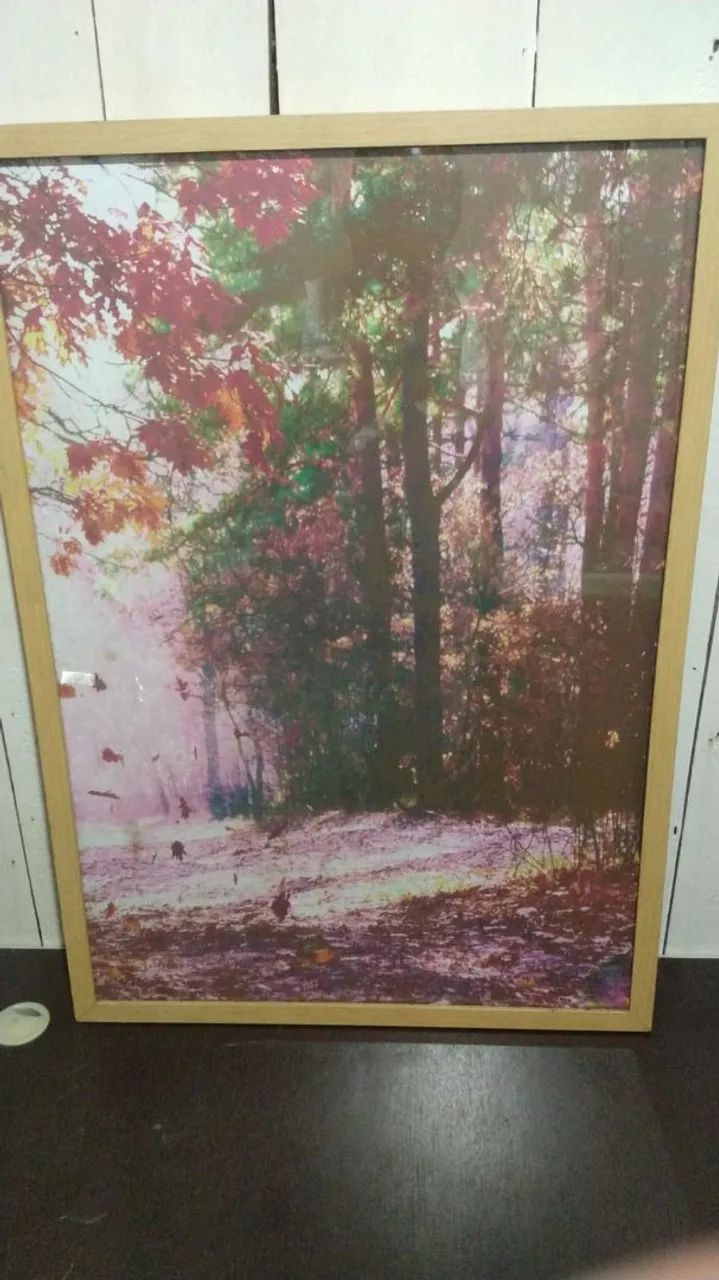 quadro decorativo 