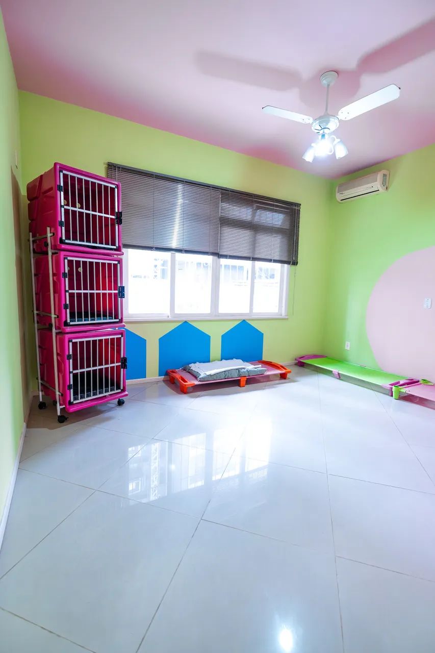 Petshop - Foto 4