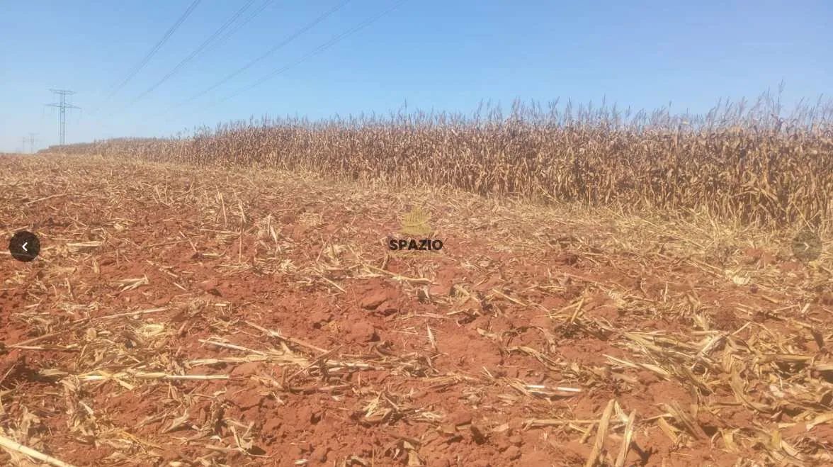 Fazenda, Centro, São José do Rio Claro, Cod: 145 - Foto 3