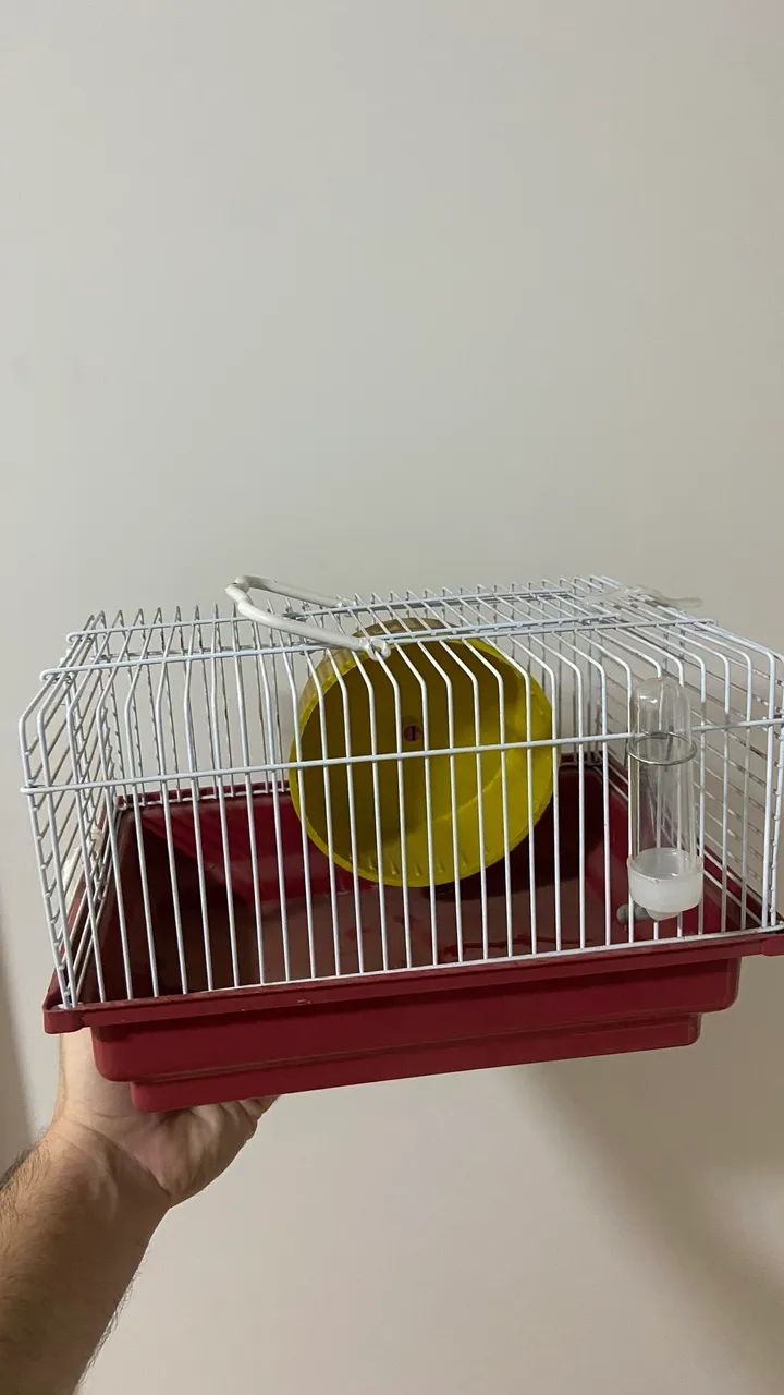 Gaiola pequena para Hamster 