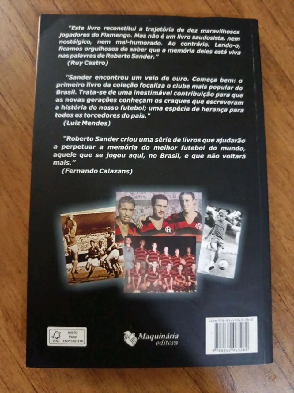 livro os dez mais do flamengo roberto sander - Foto 2