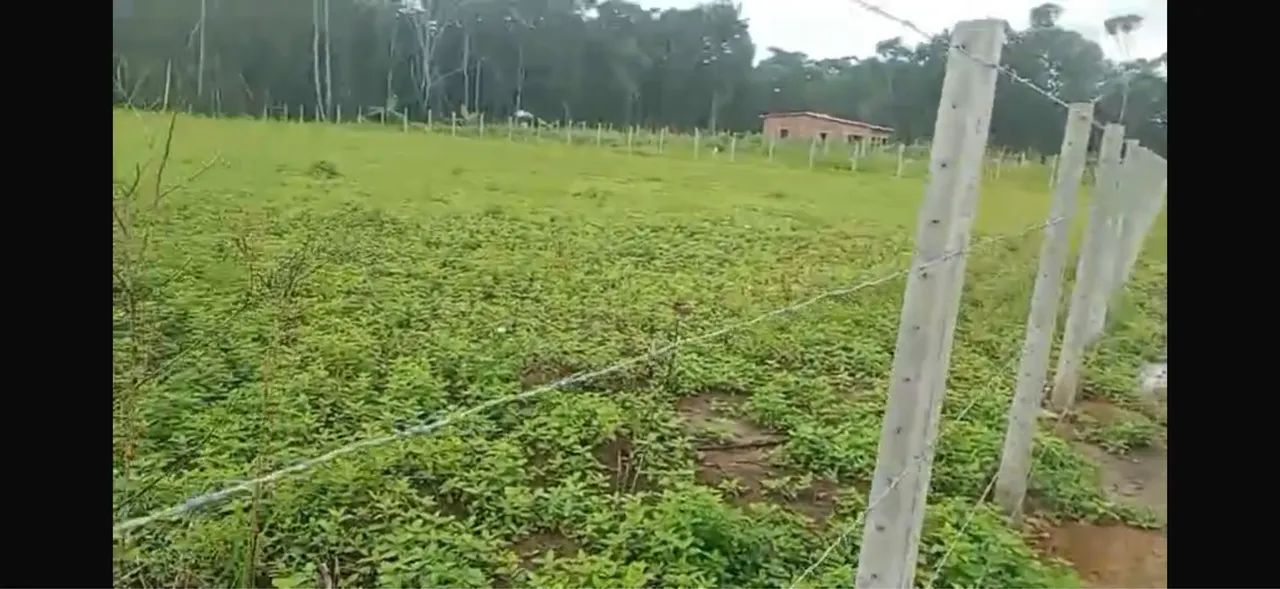 Terreno em Aldeia  - Foto 4