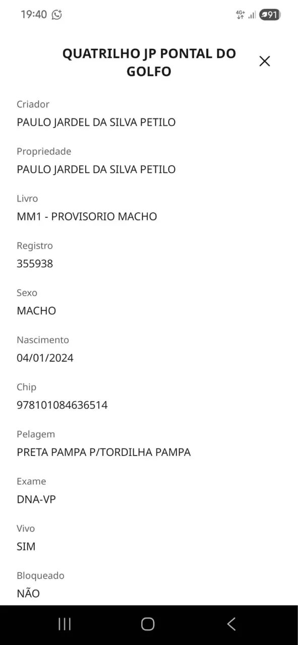 Potro Registrado MM - Foto 3