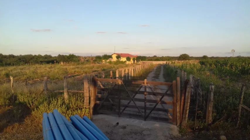 Fazenda sítio retiro - Foto 5
