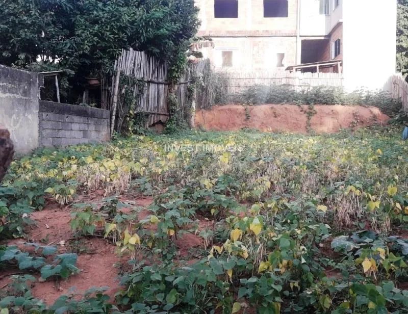 Terreno - Ubá MG - Foto 5