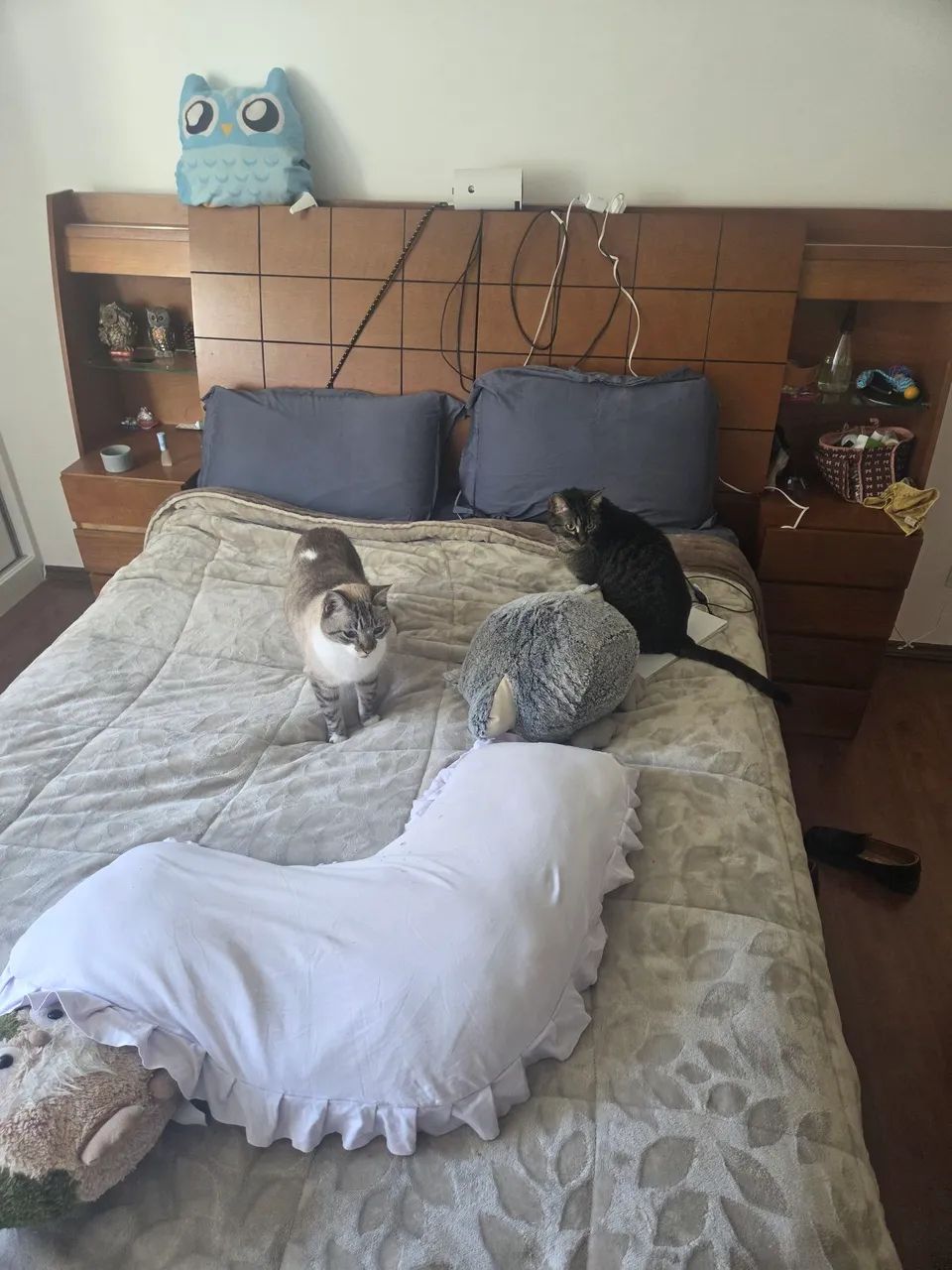 Cama / baú - Foto 2