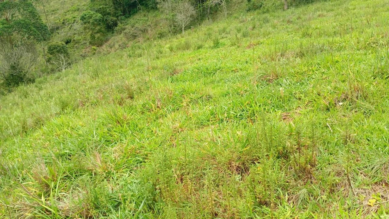 Terreno em Ewbank da Câmara - Foto 5