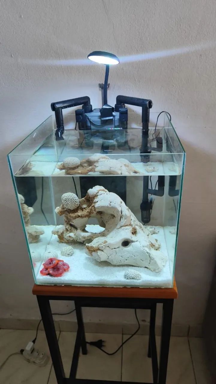 Aquário  - Foto 2