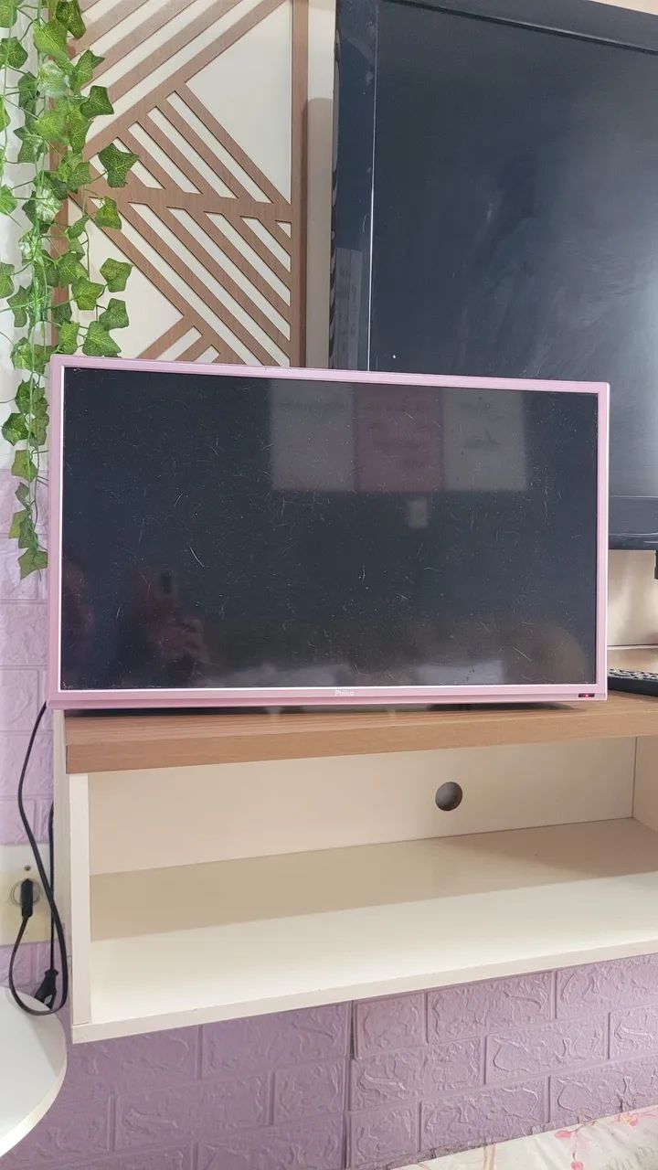 TV Philco 24 Polegadas LED cor de rosa