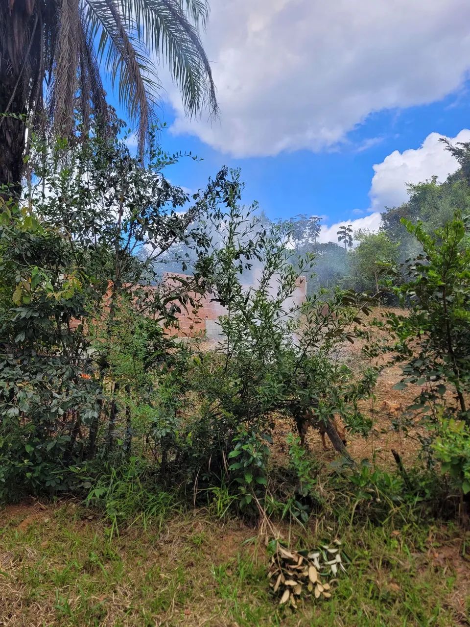 Lote mateus leme Oportunidade - Foto 4