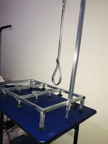 Mesa de Stay Cães  - Foto 2