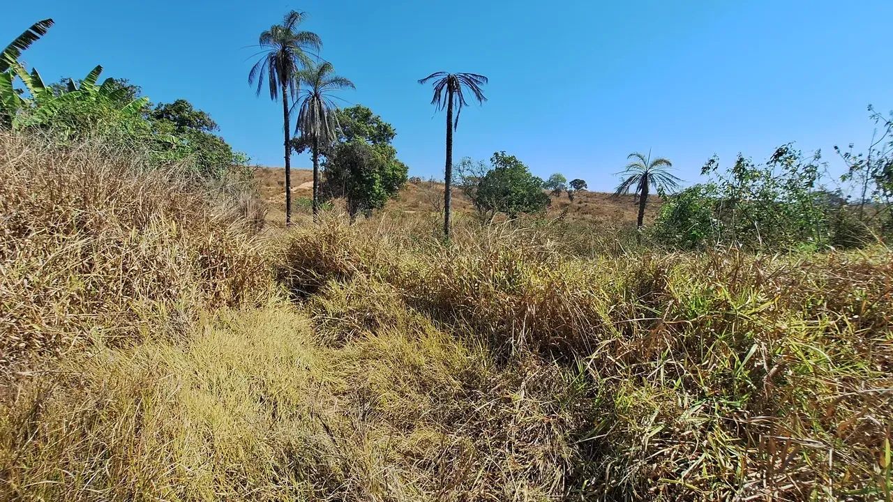 FAZENDINHA com casa e lagoa própria,  R$135.000,00 mais parcelas - Foto 5