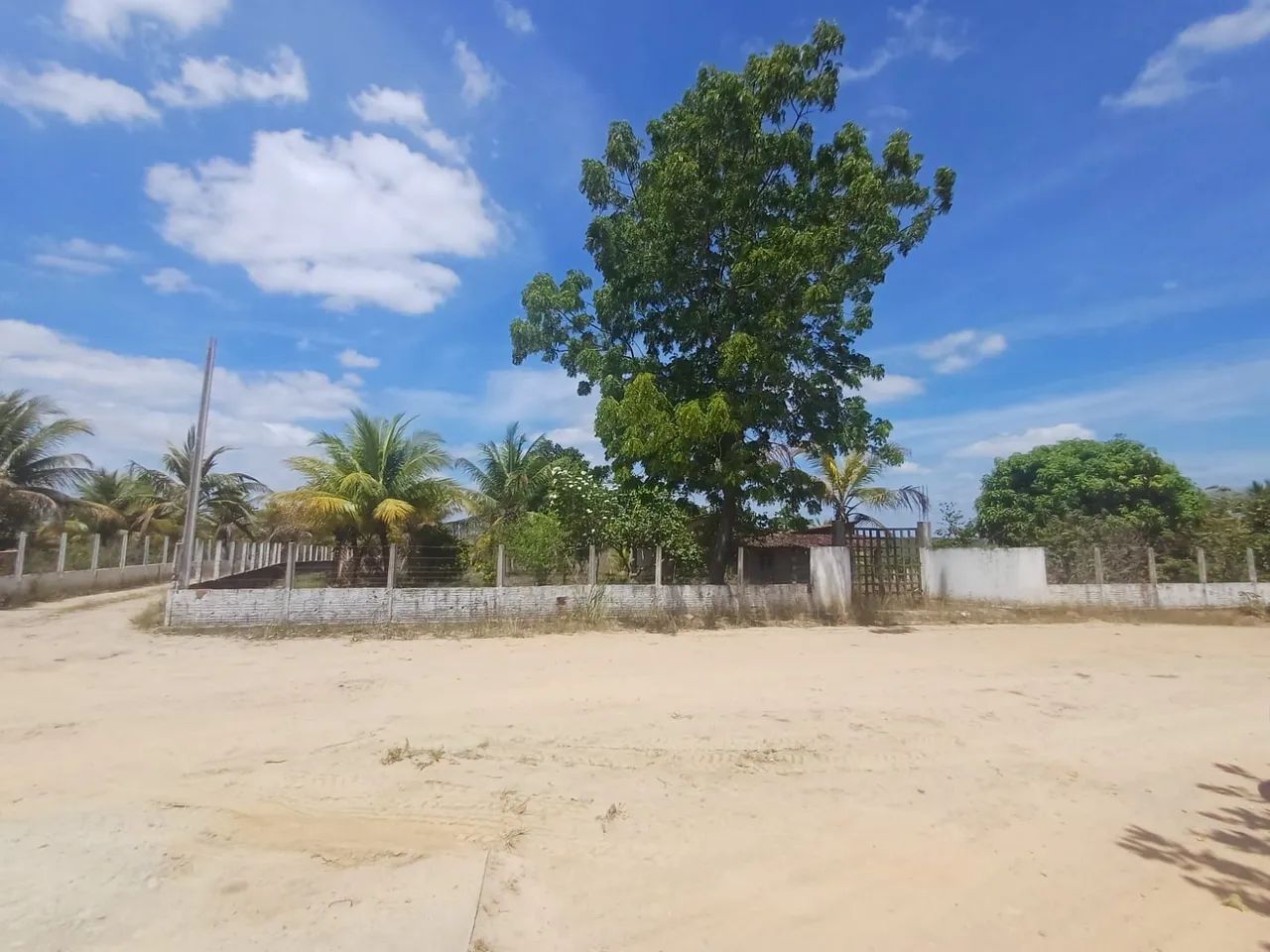 Chácara em Bonança - Foto 2