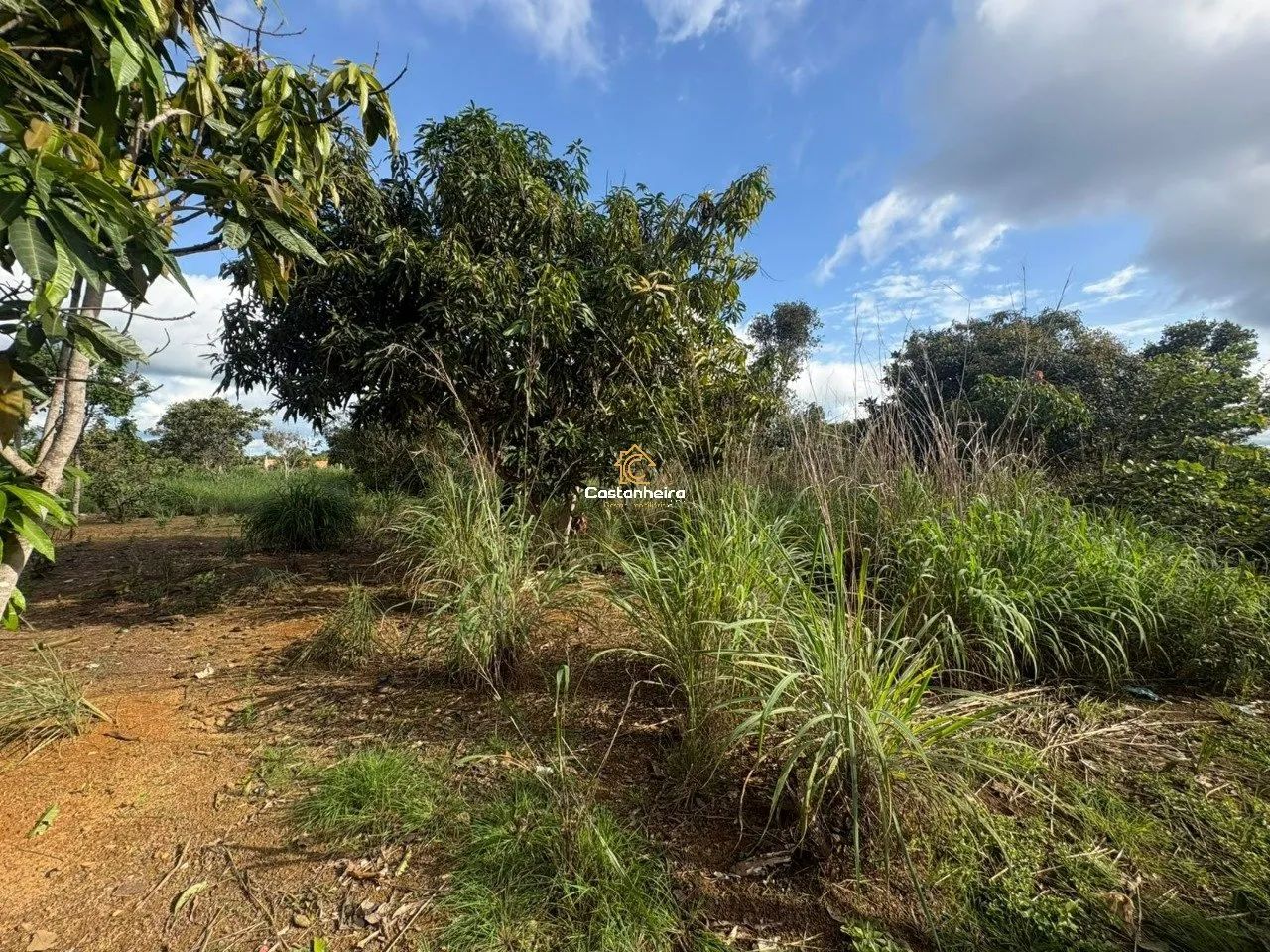 Lote Residencial 440m² - Taquarussu - Foto 4