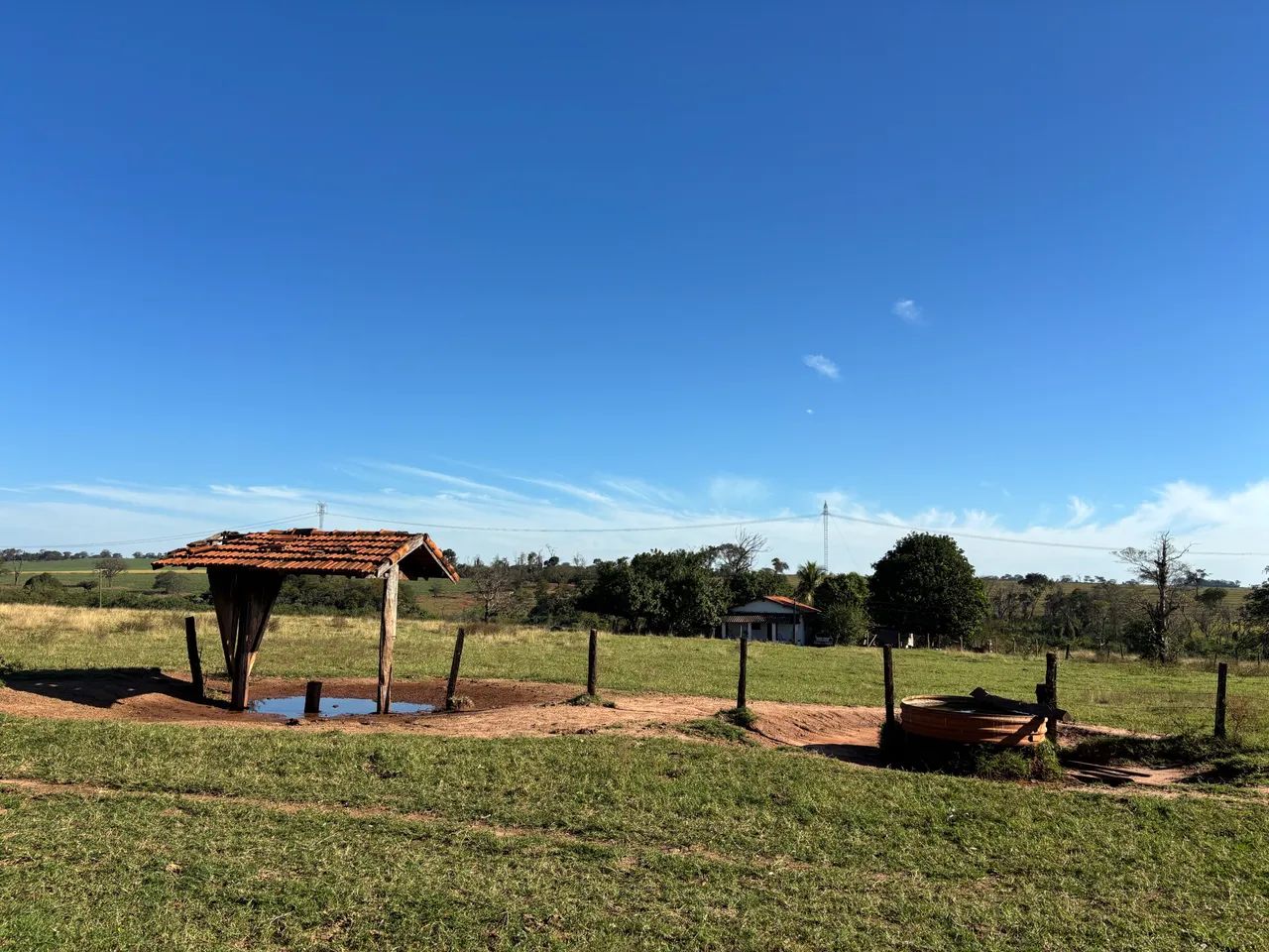 Fazenda - Foto 4