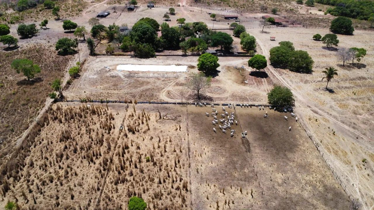 FAZENDA 5.372 HECTARES BAIXO PRA VENDER  - Foto 8