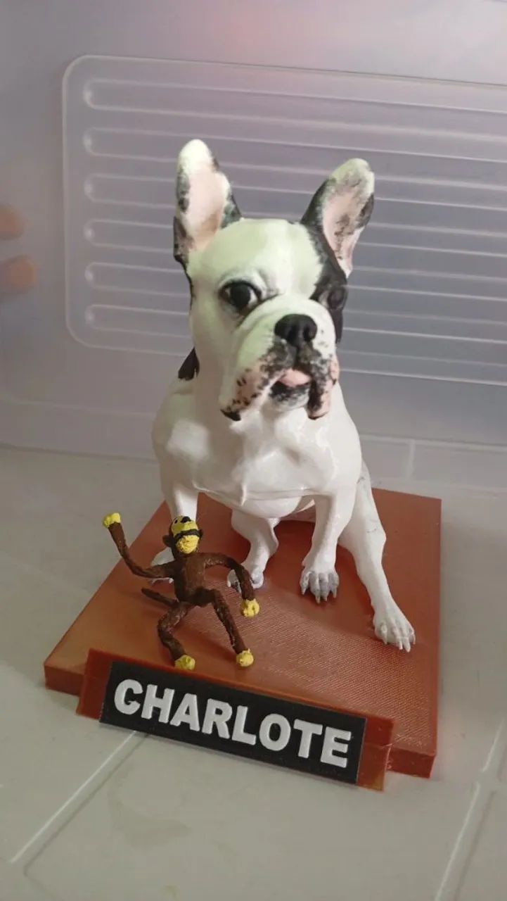 Escultura Pet em 3d  - Foto 3