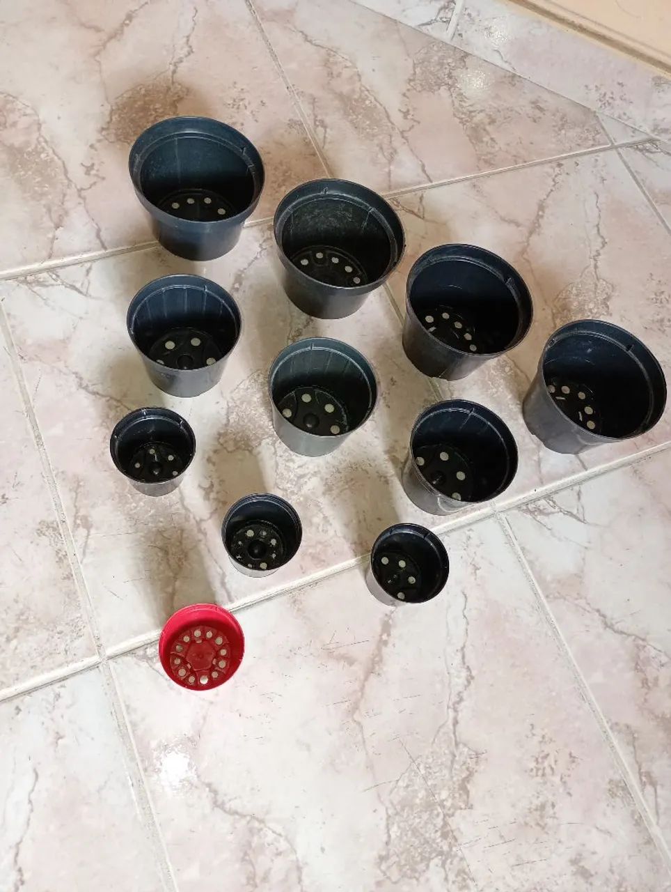 Vasos - Foto 4